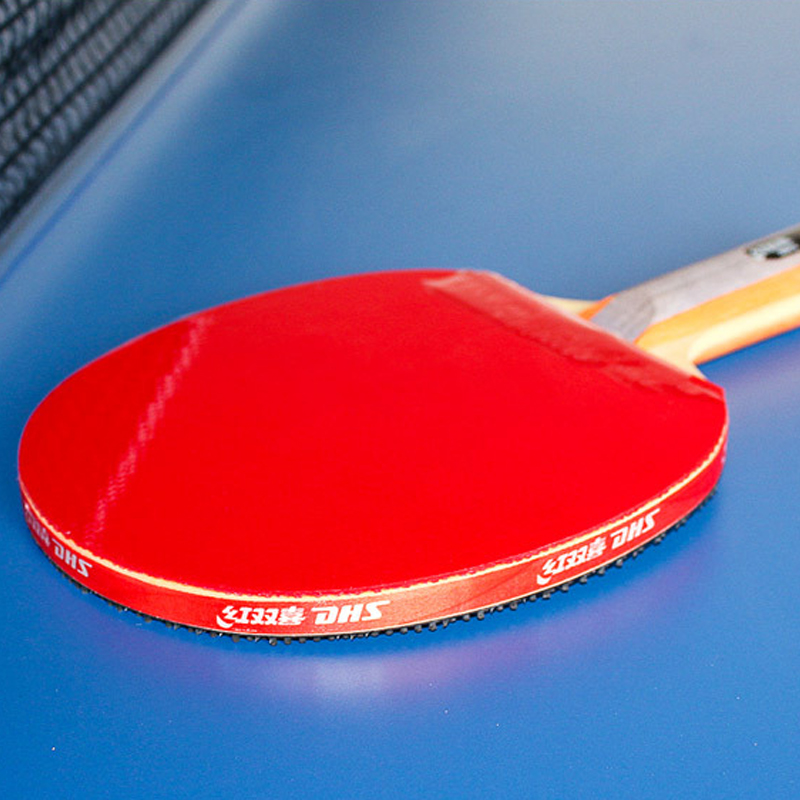 Nastro Adesivo Protettivo DHS  - Table Tennis Net Set recensione e prezzo