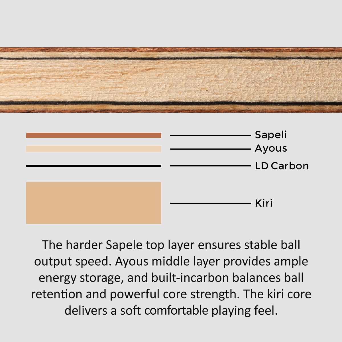 SANWEI TOKSPIN Racchetta da Pi - Table Tennis Custom Bat recensione e prezzo